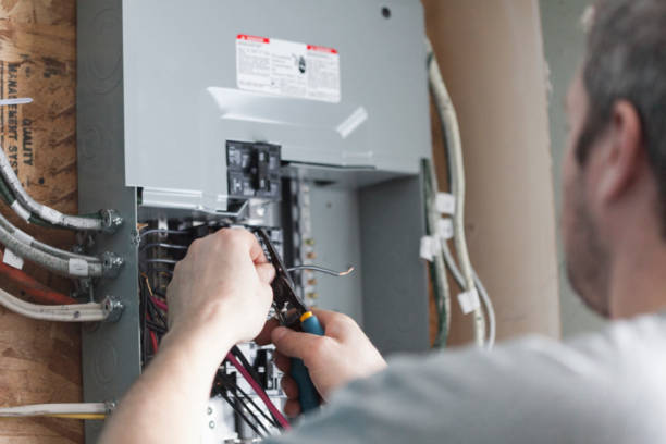 Best Electrical Panel Upgrades  in Palmer, AK